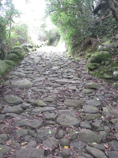 O Caminho da Ribeira dos Lagos